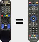 Replacement remote control for TS9011HD