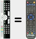 Replacement remote control for 50036965