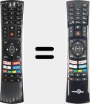 Télécommande d'origine RC4390P (23573871)