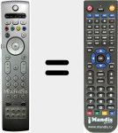 T&eacute;l&eacute;commande pour remplacer RC431001S (242254900487)