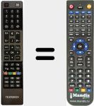 Télécommande pour remplacer RC4840 (23103896)