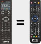 Télécommande pour remplacer CI198DIVXTDT