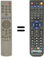 Replacement remote control 2501