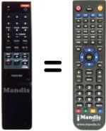 Mando a distancia equivalente 2029-8900