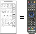 Télécommande équivalente RCM