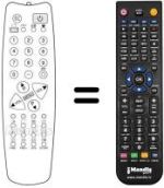 Mando a distancia equivalente 1007091008 (90 CHANNELS)