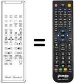 Mando a distancia equivalente RC 100