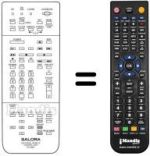Télécommande équivalente RC 9900