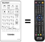Replacement remote control Blaupunkt CT-9117