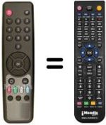 Replacement remote control Brain Wave DIGI2000TNL