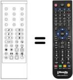 Mando a distancia equivalente RC1002