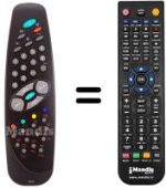 Mando a distancia equivalente RC1010
