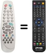 Replacement remote control Vestel CTV5554