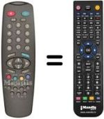 Replacement remote control HOSPITALIERE RTS5166