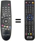 Télécommande équivalente RCS300