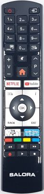 Mando a distancia original SALORA RC4318P (23728363)