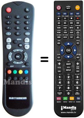 Replacement remote control DIGI HSS 1160 NA
