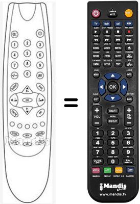 Mando a distancia equivalente RC12.1A